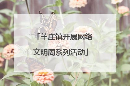 羊庄镇开展网络文明周系列活动