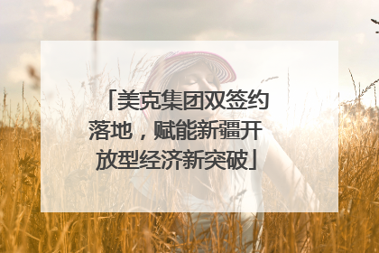 美克集团双签约落地，赋能新疆开放型经济新突破