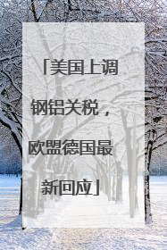 美国上调钢铝关税，欧盟德国最新回应