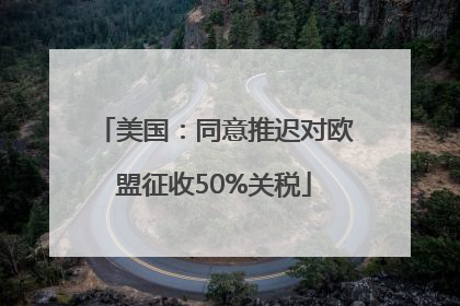 美国：同意推迟对欧盟征收50%关税