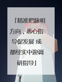 精准把脉明方向，悉心指导促发展 成都经实中迎调研指导