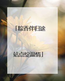 粽香伴归途 站点绽温情