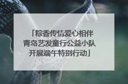 粽香传情爱心相伴 青岛艺发童行公益小队开展端午特别行动