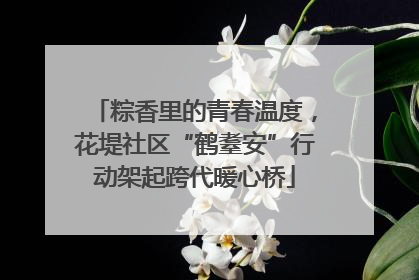 粽香里的青春温度，花堤社区“鹤耋安”行动架起跨代暖心桥