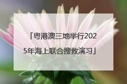 粤港澳三地举行2025年海上联合搜救演习