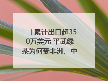 累计出口超350万美元 平武绿茶为何受非洲、中亚国家客户青睐？｜发布会观察