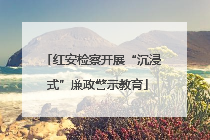 红安检察开展“沉浸式”廉政警示教育