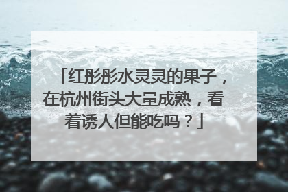 红彤彤水灵灵的果子，在杭州街头大量成熟，看着诱人但能吃吗？