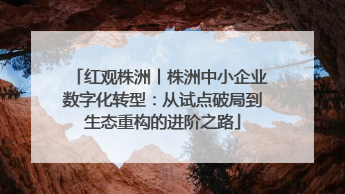 红观株洲丨株洲中小企业数字化转型：从试点破局到生态重构的进阶之路