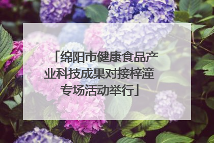 绵阳市健康食品产业科技成果对接梓潼专场活动举行