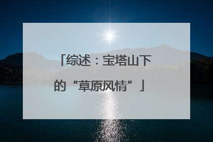 综述：宝塔山下的“草原风情”