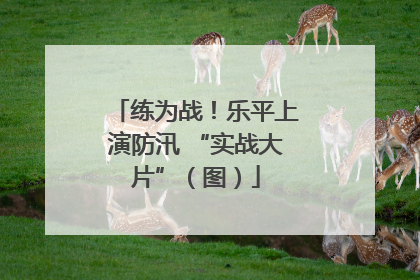练为战！乐平上演防汛 “实战大片”（图）