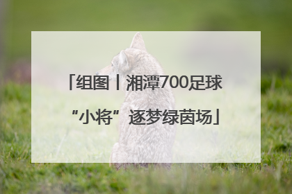 组图丨湘潭700足球“小将”逐梦绿茵场