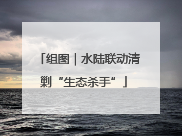组图｜水陆联动清剿“生态杀手”