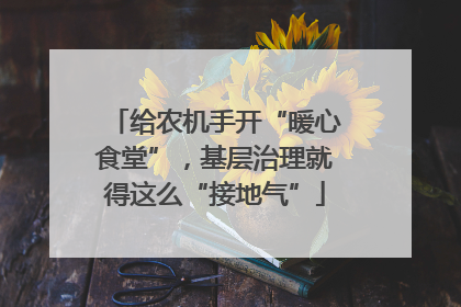 给农机手开“暖心食堂”，基层治理就得这么“接地气”