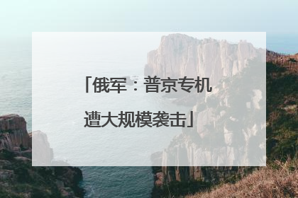 俄军：普京专机遭大规模袭击