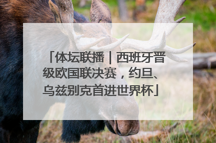 体坛联播｜西班牙晋级欧国联决赛，约旦、乌兹别克首进世界杯