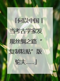 何以中国丨当考古学家发现丝绸之路“复制粘贴”版驼夫……