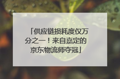 供应链损耗度仅万分之一！来自嘉定的京东物流师夺冠