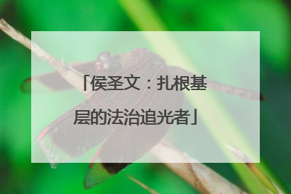 侯圣文：扎根基层的法治追光者