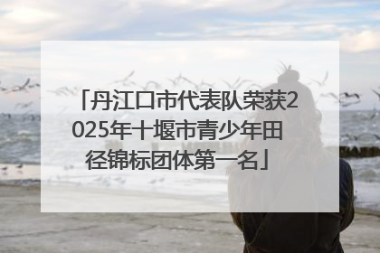 丹江口市代表队荣获2025年十堰市青少年田径锦标团体第一名