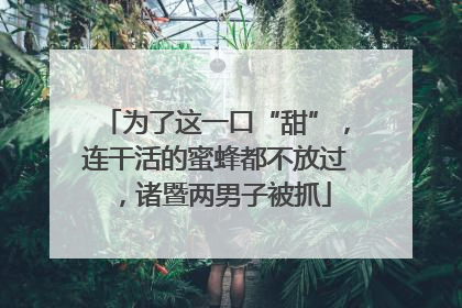 为了这一口“甜”，连干活的蜜蜂都不放过，诸暨两男子被抓