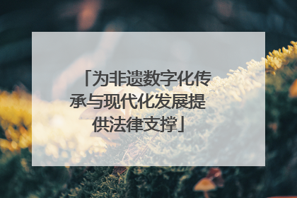 为非遗数字化传承与现代化发展提供法律支撑