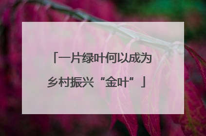 一片绿叶何以成为乡村振兴“金叶”