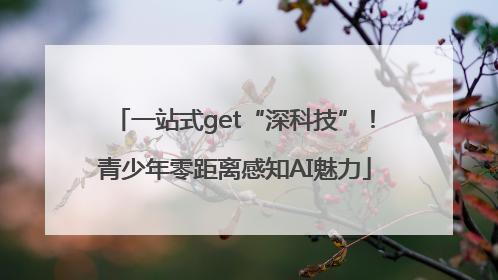 一站式get“深科技”！青少年零距离感知AI魅力