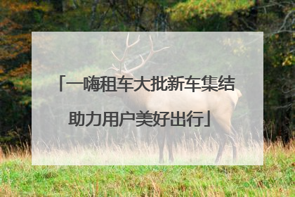 一嗨租车大批新车集结 助力用户美好出行