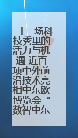 一场科技秀里的活力与机遇 近百项中外前沿技术亮相中东欧博览会“数智中东欧”板块