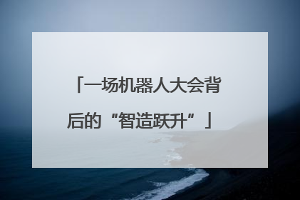 一场机器人大会背后的“智造跃升”