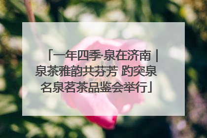 一年四季·泉在济南｜泉茶雅韵共芬芳 趵突泉名泉茗茶品鉴会举行