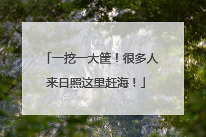 一挖一大筐！很多人来日照这里赶海！