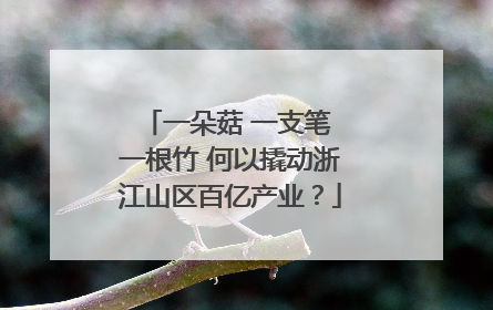 一朵菇 一支笔 一根竹 何以撬动浙江山区百亿产业？