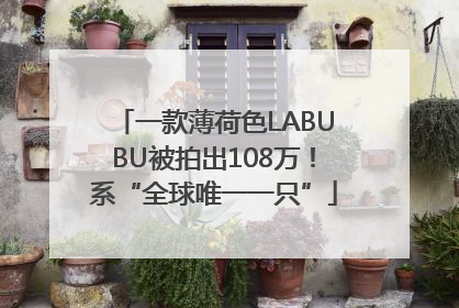一款薄荷色LABUBU被拍出108万！系“全球唯一一只”