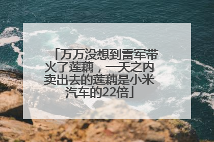 万万没想到雷军带火了莲藕，一天之内卖出去的莲藕是小米汽车的22倍