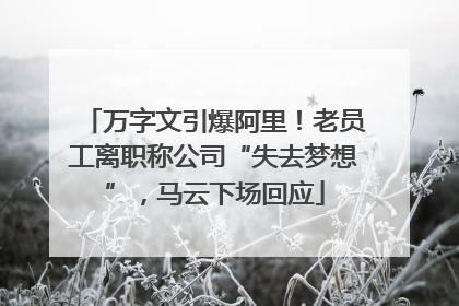 万字文引爆阿里！老员工离职称公司“失去梦想”，马云下场回应