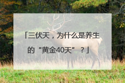 三伏天，为什么是养生的“黄金40天”？
