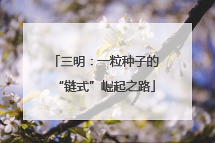 三明：一粒种子的“链式”崛起之路