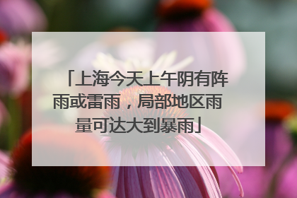 上海今天上午阴有阵雨或雷雨，局部地区雨量可达大到暴雨