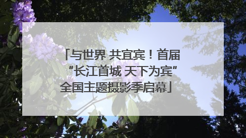 与世界 共宜宾！首届“长江首城 天下为宾”全国主题摄影季启幕