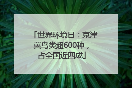 世界环境日：京津冀鸟类超600种，占全国近四成