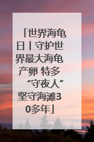 世界海龟日丨守护世界最大海龟产卵 特多“守夜人”坚守海滩30多年
