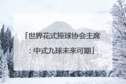 世界花式撞球协会主席：中式九球未来可期