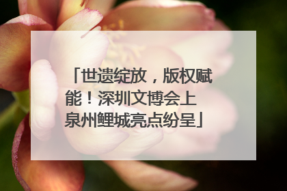 世遗绽放，版权赋能！深圳文博会上 泉州鲤城亮点纷呈