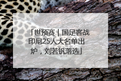 世预赛｜国足客战印尼25人大名单出炉，刘若钒落选