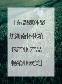 东盟媒体聚焦湖南怀化箱包产业 产品畅销亚欧美