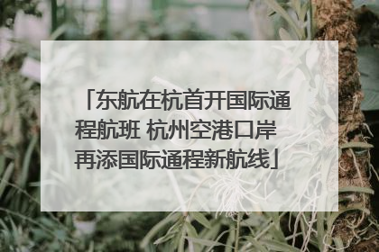 东航在杭首开国际通程航班 杭州空港口岸再添国际通程新航线