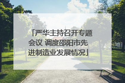 严华主持召开专题会议 调度邵阳市先进制造业发展情况